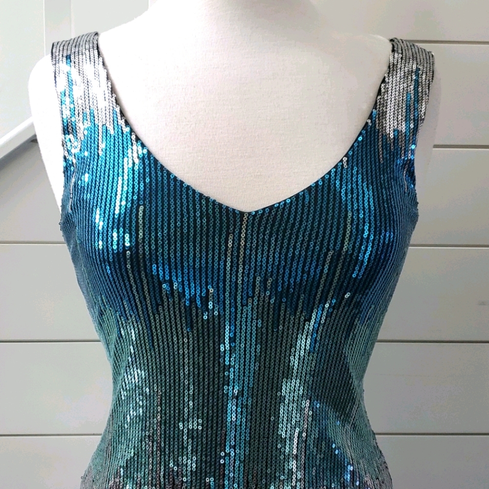 Holiday Party Dress NWOT